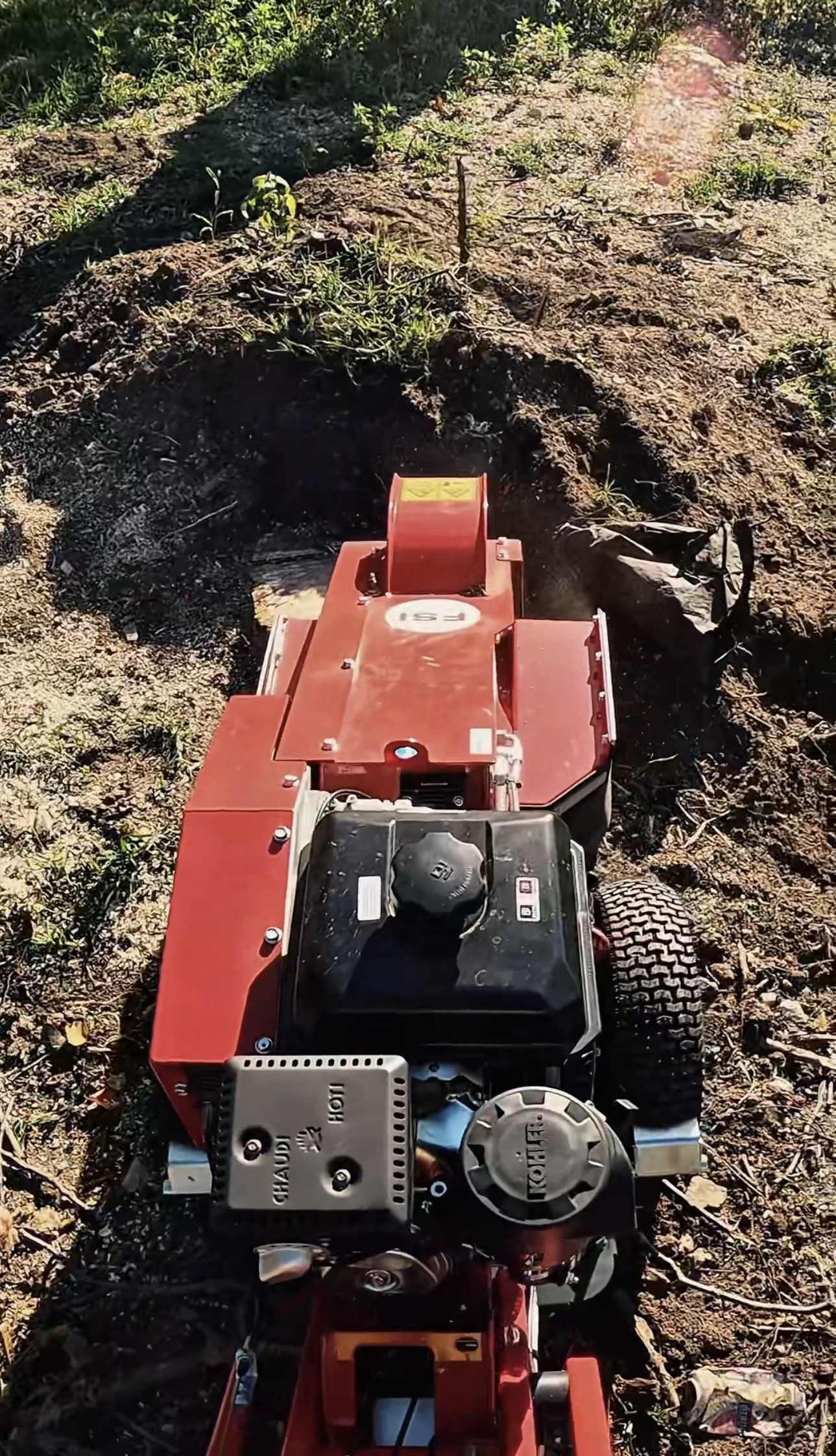 nyárfa kivágása Érd emelőkosaras autóval