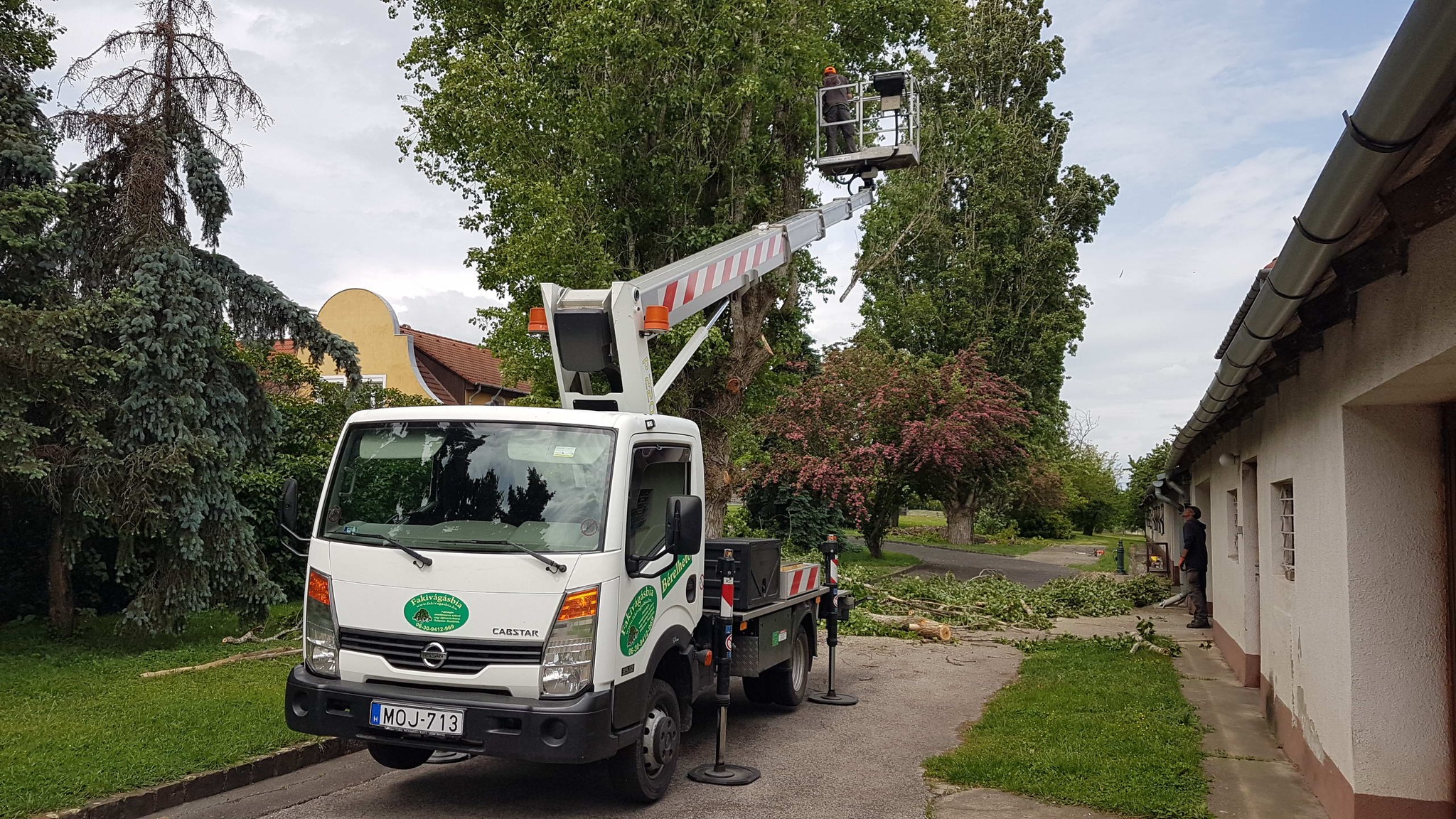 Fakivágás biatorbágy